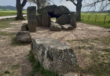 Tocht Stappen Durbuy - entre le menhir Pire Hena et le dolmen de Weris ... wouai... - Photo