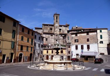 Randonnée A pied Segni - Segni-Monte La Croce-Montelanico - Photo