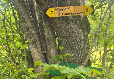Tour Wandern Mirepoix - Rando Fête de Mirepoix Alain - Photo
