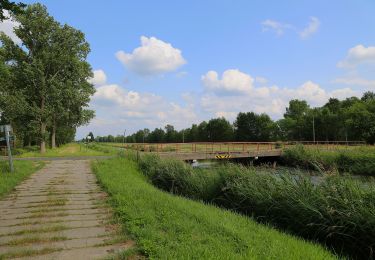 Tocht Te voet Lübben (Spreewald) - Wanderweg Lübben-Lübben/Ost - Eichkanalschleuse - Photo