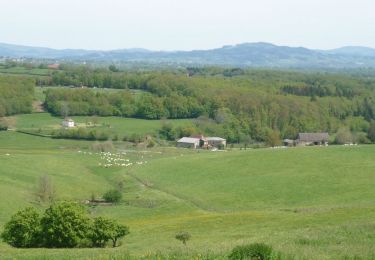 Excursión Bici de montaña Saint-Pierre-la-Noaille - Jean-Pierre_Cottin_2019-06-06_14-11-31 - Photo