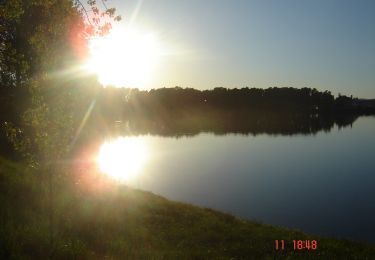 Tocht Te voet  - Drumul Homarka - Photo