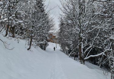Tour Schneeschuhwandern Bourg-Saint-Maurice - Le Chantel Arcs 1800 - Photo