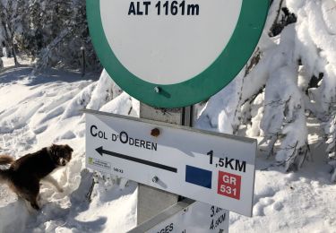 Tocht Ski randonnée Fellering - Randonnée frenz - Photo