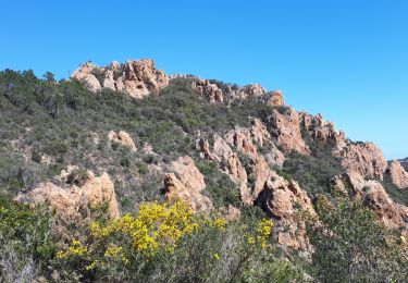 Tour Wandern Mandelieu-la-Napoule - 20230408agay - Photo