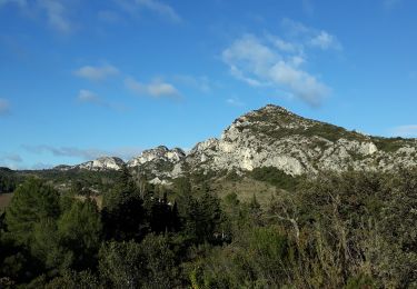 Randonnée Marche Eygalières - Eygalières et les Calans  - Photo