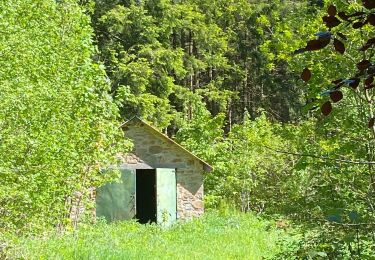 Tour Wandern Saint-Hubert - Geocaching : au plus profond de l’Ardenne - Photo