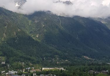 Randonnée Marche Chamonix-Mont-Blanc - Chamonix départ parking du Biolay derrière cimetière  - Photo