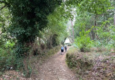 Trail Walking Betanzos - 2024 Camino Ingles 5 - Photo