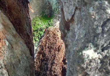 Excursión Senderismo Lanmodez - port guyon - Photo