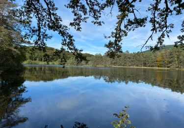 Tocht sport Treignac - Sob Treignac Corrèze - Photo