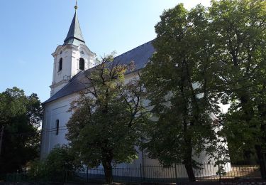 Percorso A piedi Kisgyőr - Parlagi sas tanösvény - Photo