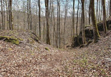 Tour Zu Fuß Gomadingen - Hohenzollernweg - Alternative Killer - und weiter - Photo