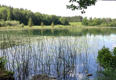 Tour Wandern Le Frasnois - Promenade des 4 lacs - Photo