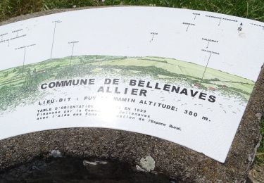 Trail On foot Bellenaves - 2020-07-14 Bellenaves ( Fôret des collettes ) - Photo