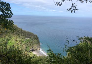 Trail Walking Le Prêcheur - AR anse couleuvre- grande rivière (avec un arrêt au retard à l’anse à voile) - Photo