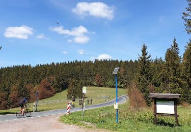 Trail On foot Ilmenau - Rennsteigleiter Manebach - Photo