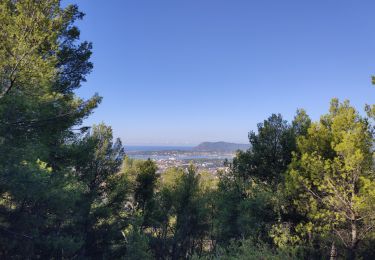 Randonnée Marche Toulon - Tour de l'Hubac Faron - Toulon - Photo