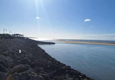 Tocht Mountainbike Saint-Palais-sur-Mer - st palais - Photo