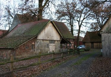 Percorso A piedi Haltern am See - Sundern Rundweg A8 - Photo