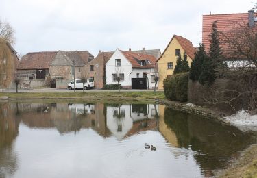 Percorso A piedi Querfurt - Rundweg Märzenbechertal - Photo