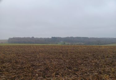 Randonnée Marche Villers-la-Ville - Villers-la-Ville  - Photo