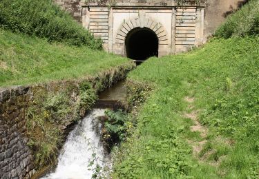 Tour Wandern Les Cammazes - La Rigole 😂  - Photo