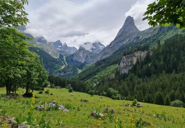 Percorso Marcia Pralognan-la-Vanoise - La Cholière  - Photo