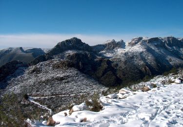 Tocht Te voet Xeraco - Ruta 1 oficial de Senderisme de Xeraco - Photo