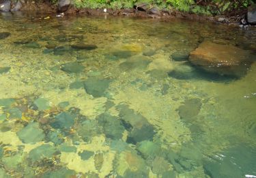 Tour Wandern Sainte-Marie - Bassin Chien - Photo