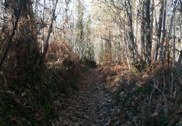 Trail Walking Mouleydier - St Sauveur 15km - Photo