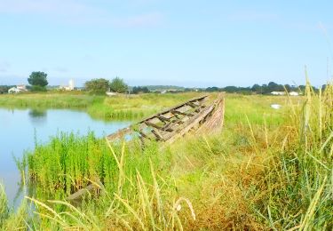 Tour Wandern Mornac-sur-Seudre - 17  Plordonnier  7km300 - Photo