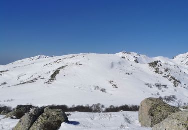 Trail Walking Bastelica - balade val ese - Photo