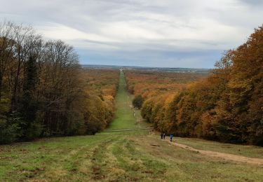 Randonnée Marche Compiègne - Forêt de Compiègne - Photo