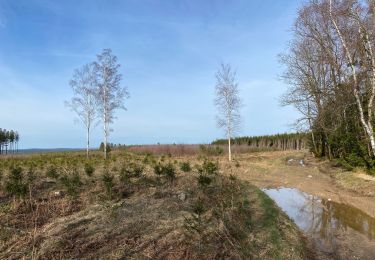 Tour Wandern Manhay - Malempré Oster Aisne 24,5 km - Photo