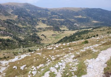 Tocht Stappen Prats-de-Mollo-la-Preste - 10 - Photo