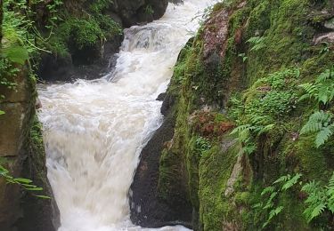 Randonnée Marche Arfeuilles - la cascade de pisserotte - Photo
