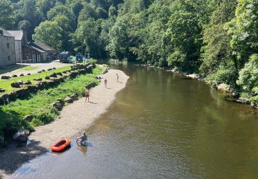 Tocht sport Ferrières - Ferme de palogne final - Photo