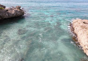 Excursión Senderismo Saint-François - Guadeloupe - Pointe des Châteaux (2024) - Photo