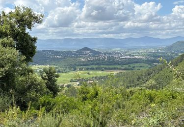 Percorso sport Les Arcs-sur-Argens - Taradeau - Photo