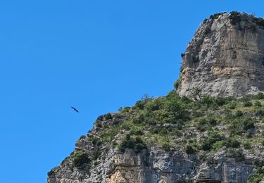 Trail Walking Saint-May - St May Rocher du Caire Vautours abbaye - Photo