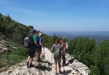 Randonnée Marche Vauvenargues - les cabassols le Prieuré - Photo