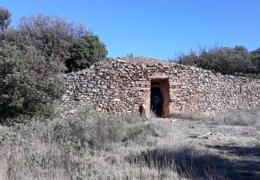 Trail Walking Villeneuve-Minervois - virades 2019 - Photo