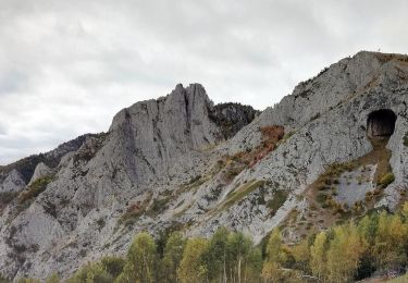 Tocht Te voet  - Runc - Vârful Scărița - Rezervația Scărița Belioara - Photo