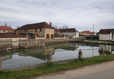 Excursión Bici de carretera Paron - Sortie Ã  vÃ©lo matinale - Photo