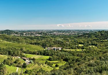 Tour Zu Fuß Sirtori - Sentiero 1 Ceregallo - Lomagna - Photo