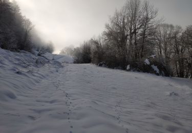 Trail Walking Le Châtelard - Bauges 2021 : le Chatelard - Crête du Mont Julioz(-12-19).ori - Photo