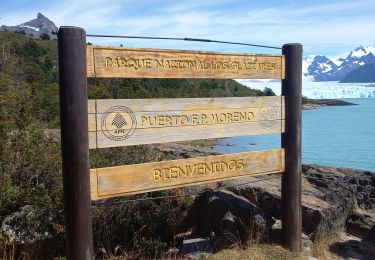 Trail Walking  - Perito Moreno - Photo