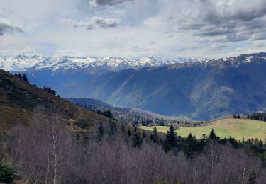 Tour Wandern Baren - Mail de la Pique depuis Baren - Photo