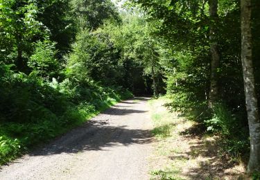 Tocht Stappen Chanat-la-Mouteyre - 5 Chanat la Moutaire - Photo